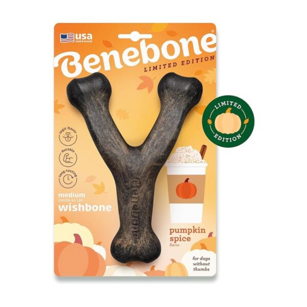 Wishbone Durable Dog Chew Toy